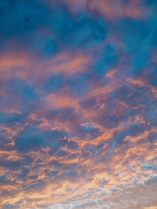 38303417_389779131549991_3942576752760455168_n